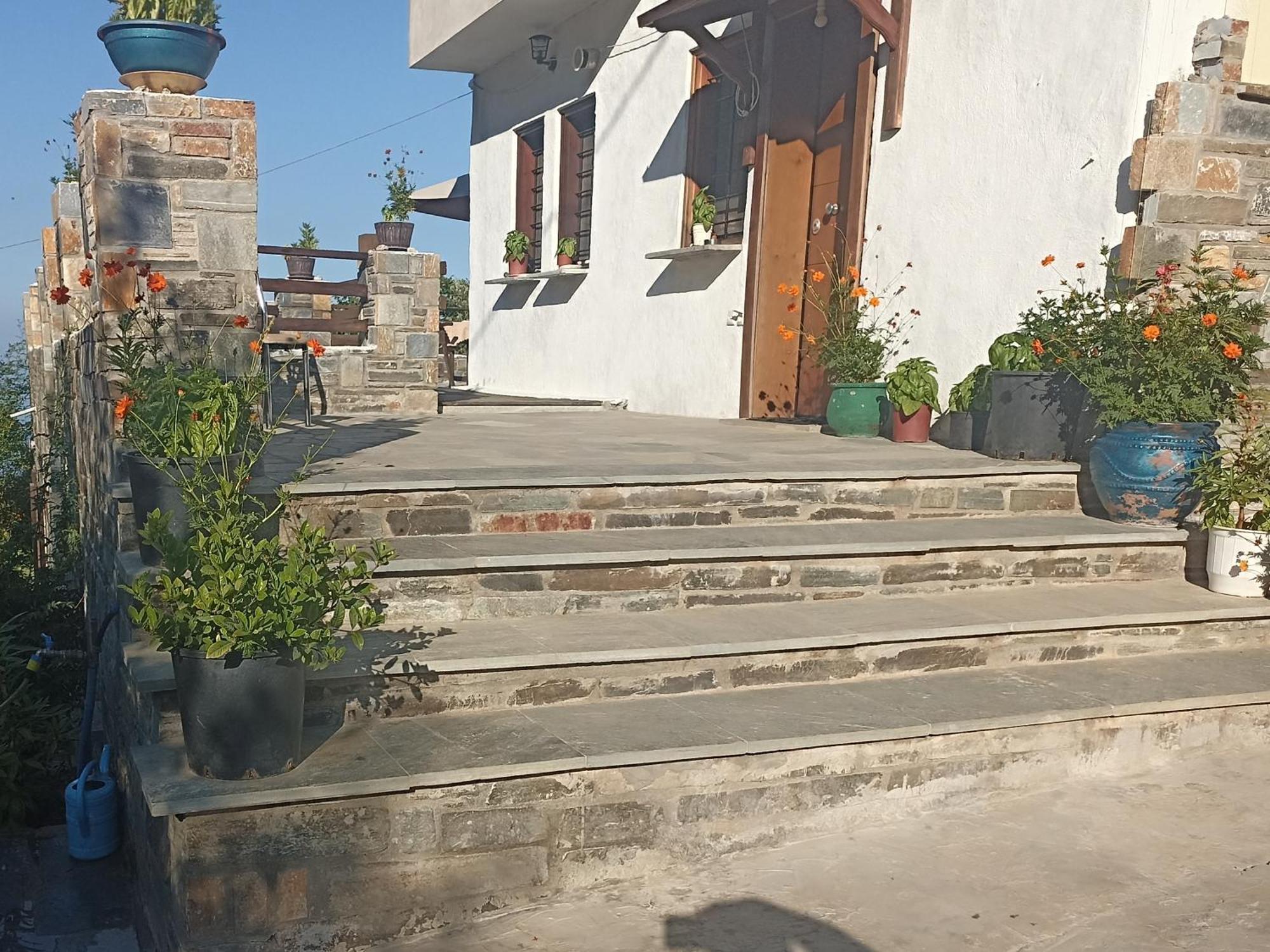 Spiros Pelion * Καλαμάκι