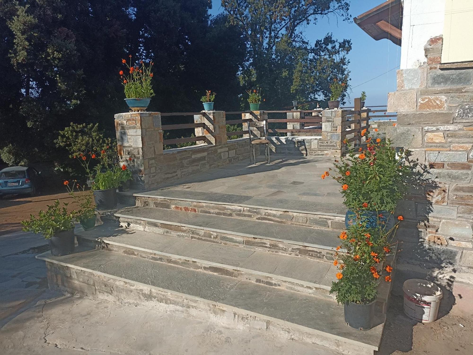 Spiros Pelion