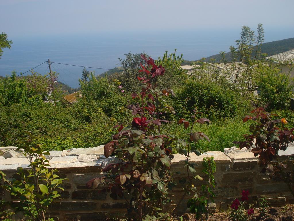 Spiros Pelion Διαμέρισμα