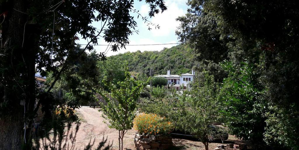 Spiros Pelion *