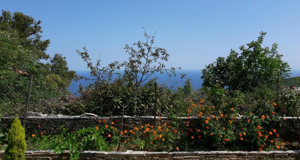 Spiros Pelion Διαμέρισμα Καλαμάκι