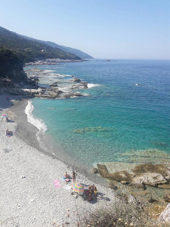 Spiros Pelion *