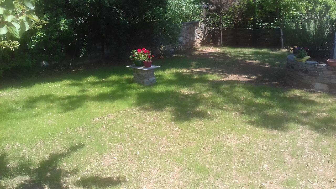 Spiros Pelion