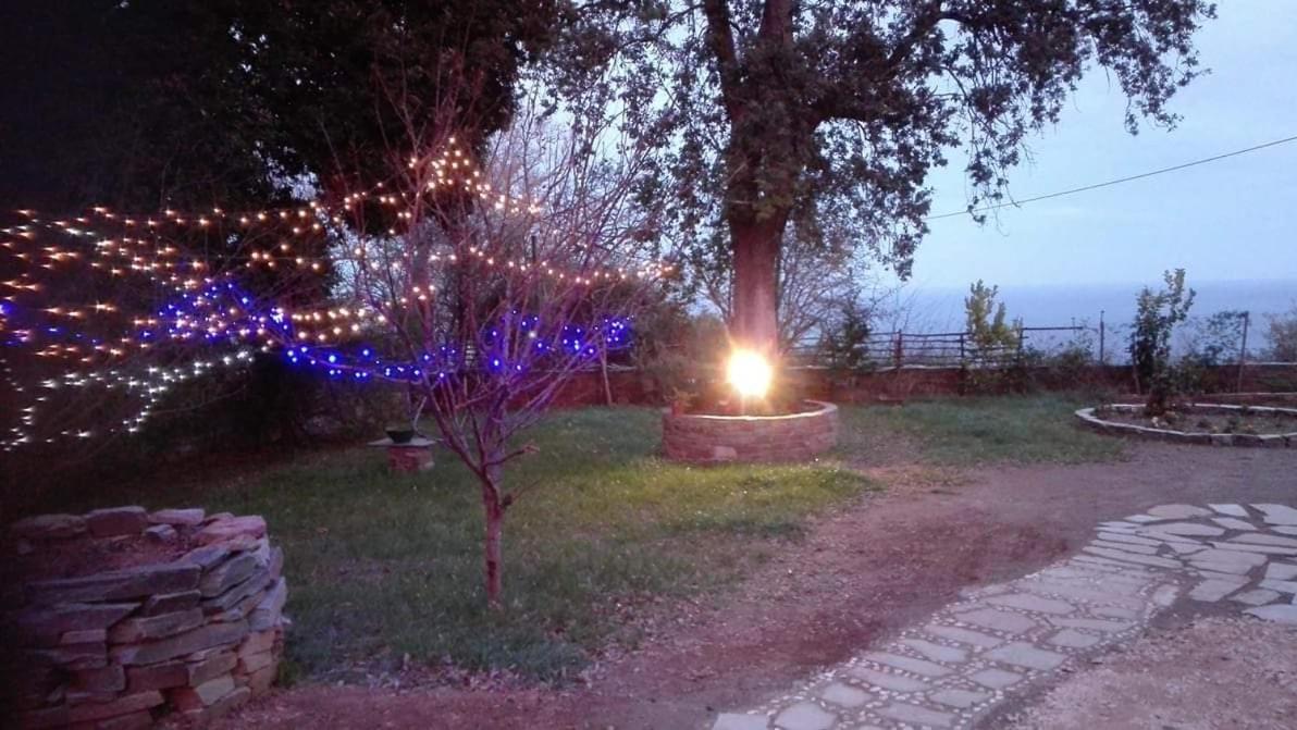 Spiros Pelion Διαμέρισμα *