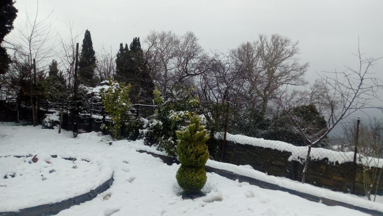 Spiros Pelion Καλαμάκι